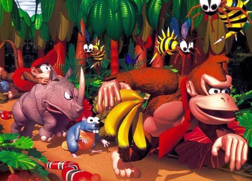 DK Country was the first video game I ever got and I love how it looks so much