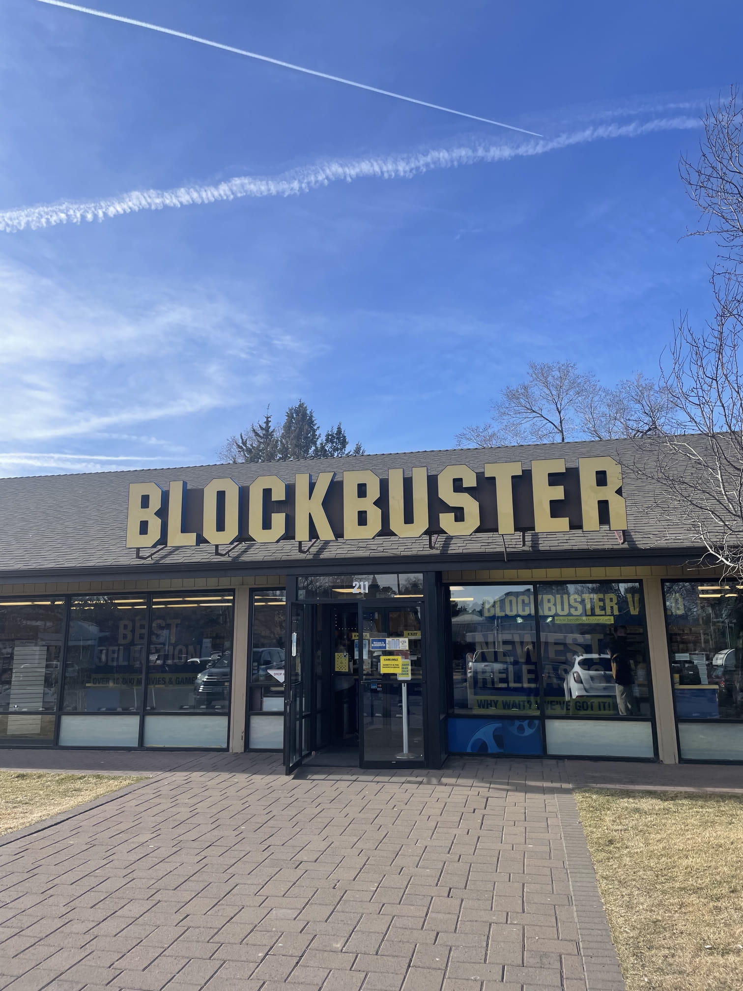 The last blockbuster in the world