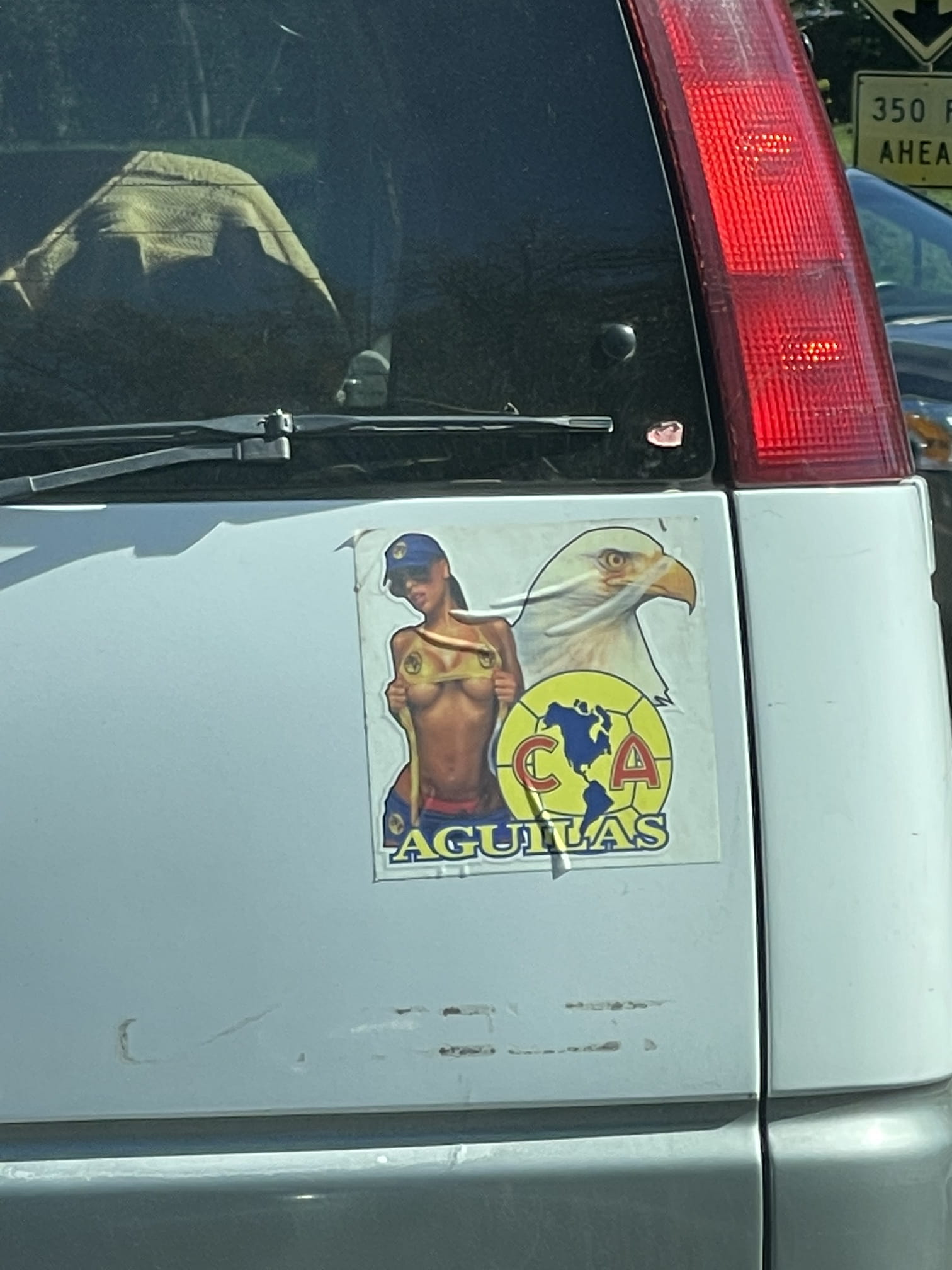 Aguilas bumper sticker