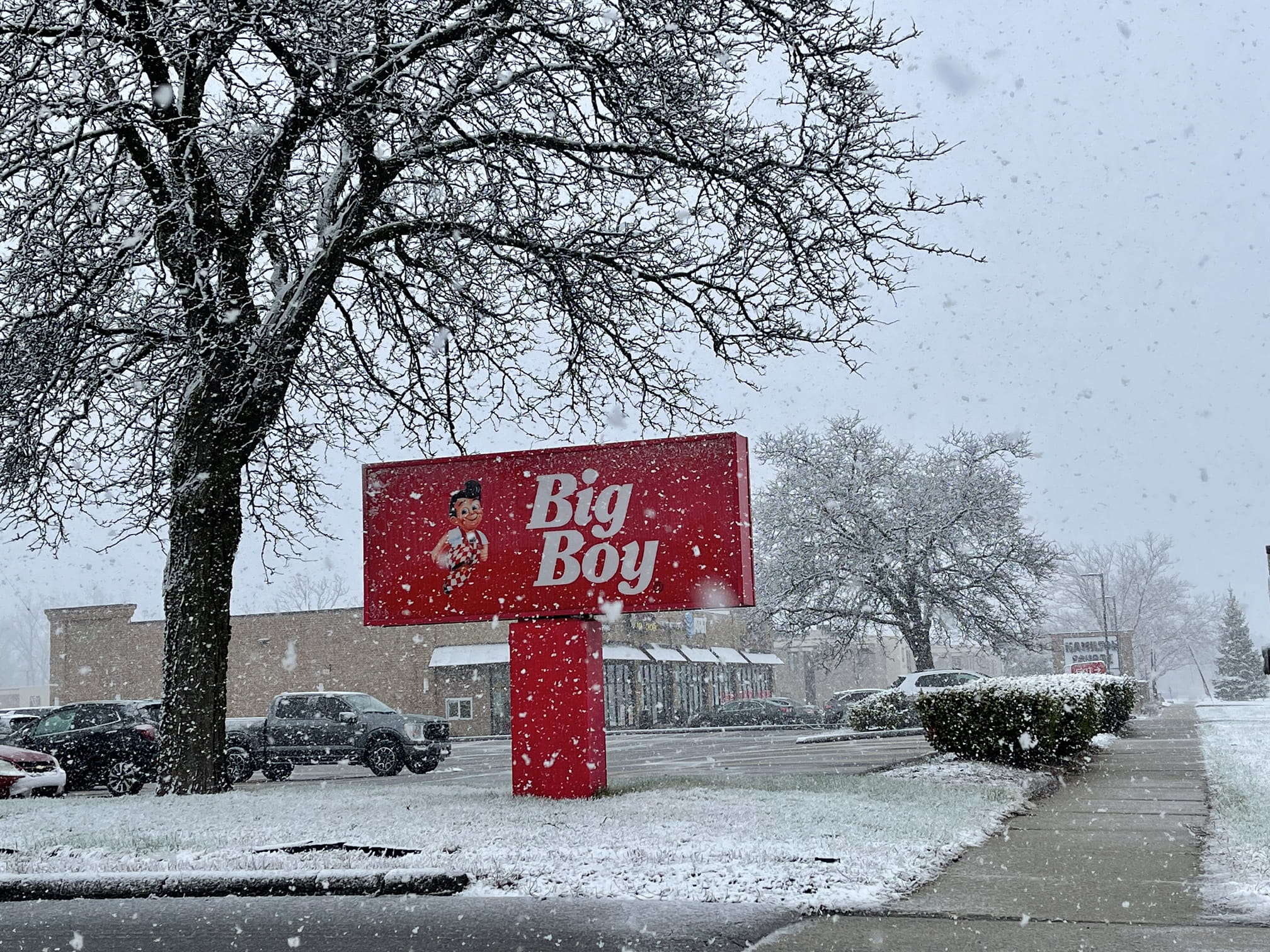 Big boy in the snow