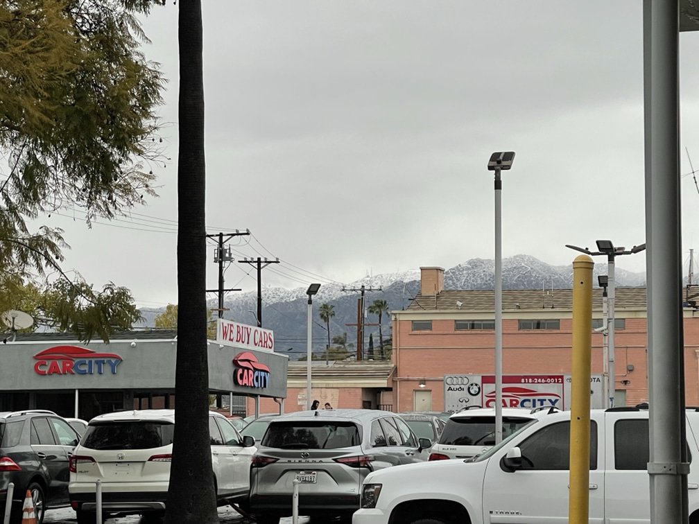 Palm trees and snow capped mountains