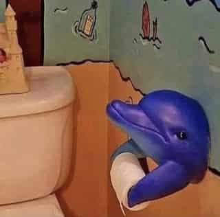Dolphin holding tp