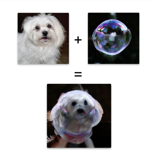 Dog plus bubble equals bubble dog