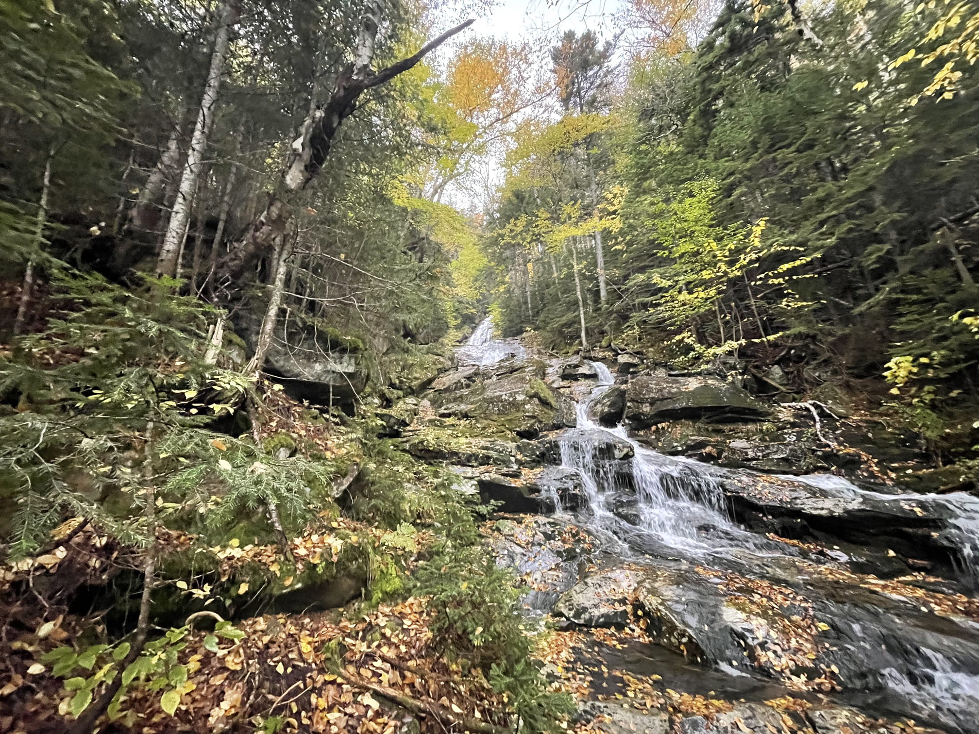 White mountain national forest is a beautiful hike to go on - it goes along a waterfall and is a bit of a climb but its a good workout and fucking beautiful. Was raining when i hiked which made the rocks a bit slippery but a wonderful experience.