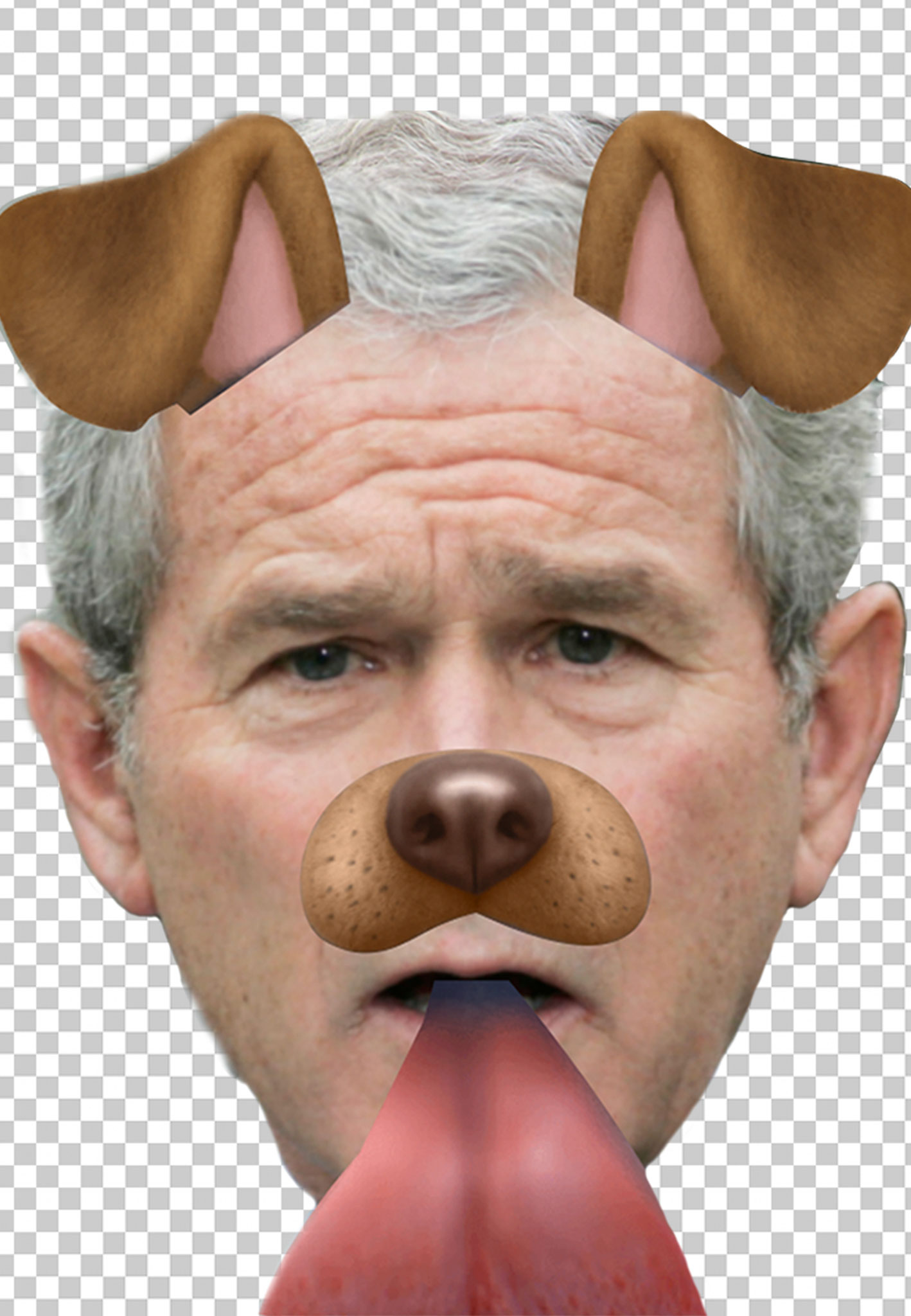 George Bush Dog Filter Snapchat