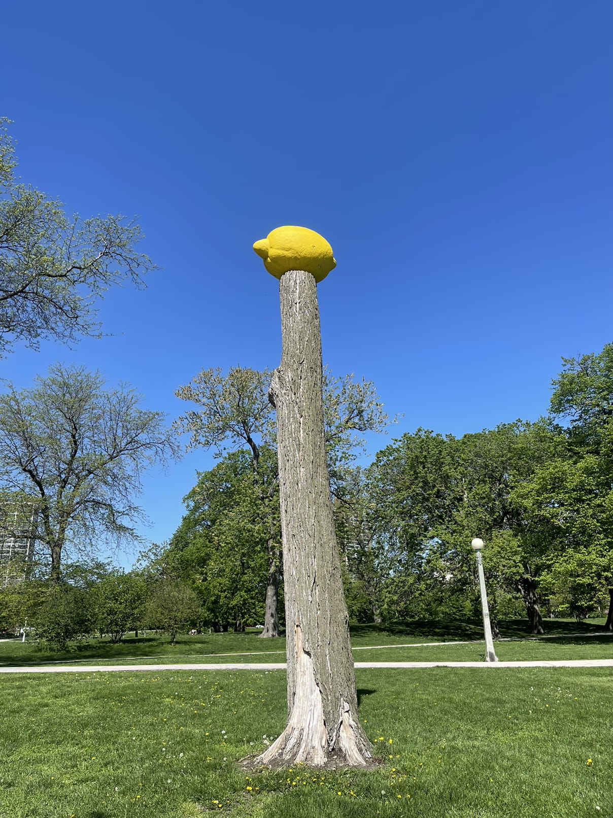 Lemon on a pole